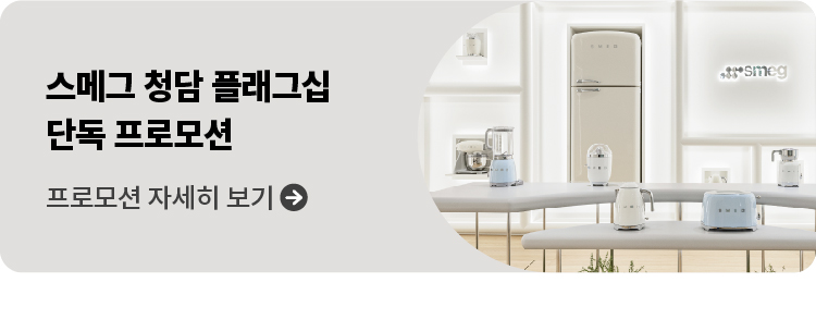 플래그십 프로모션