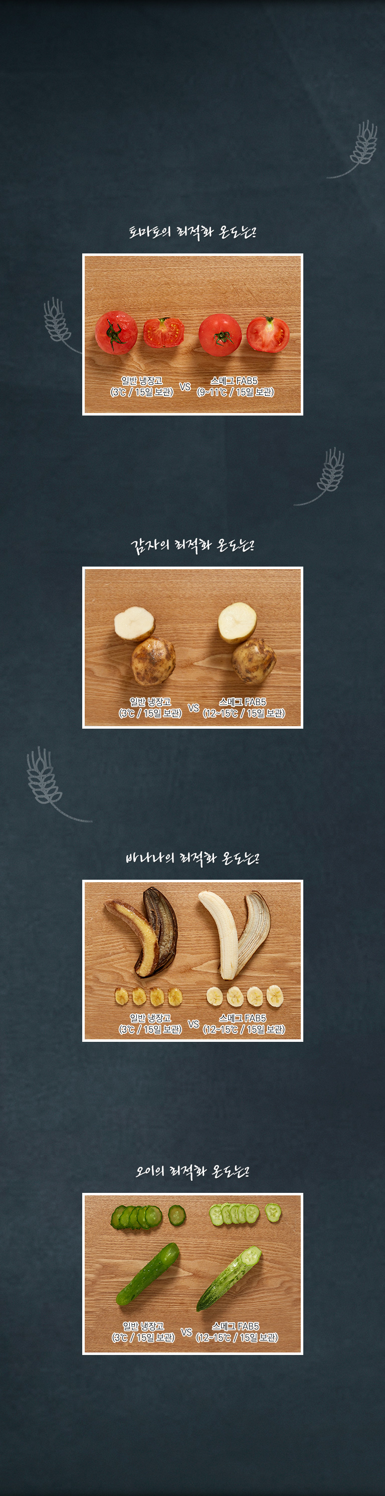 3# 신선함을 그대로 살린 채소 보관법