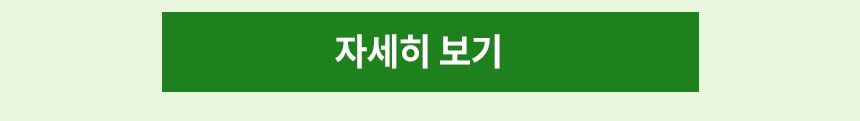 메인